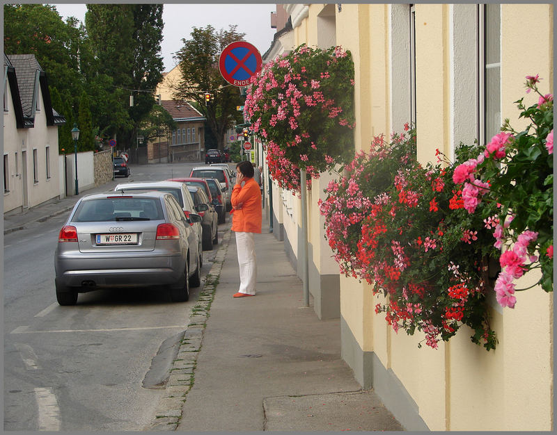 Perchtoldsdorf ein Platz zum verweilen und genießen, da