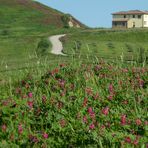 PERCORSI IN CAMPAGNA