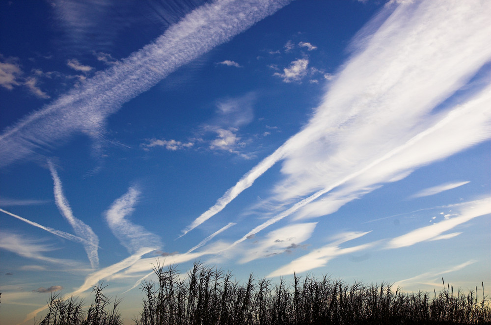 percorsi nel cielo