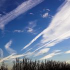 percorsi nel cielo