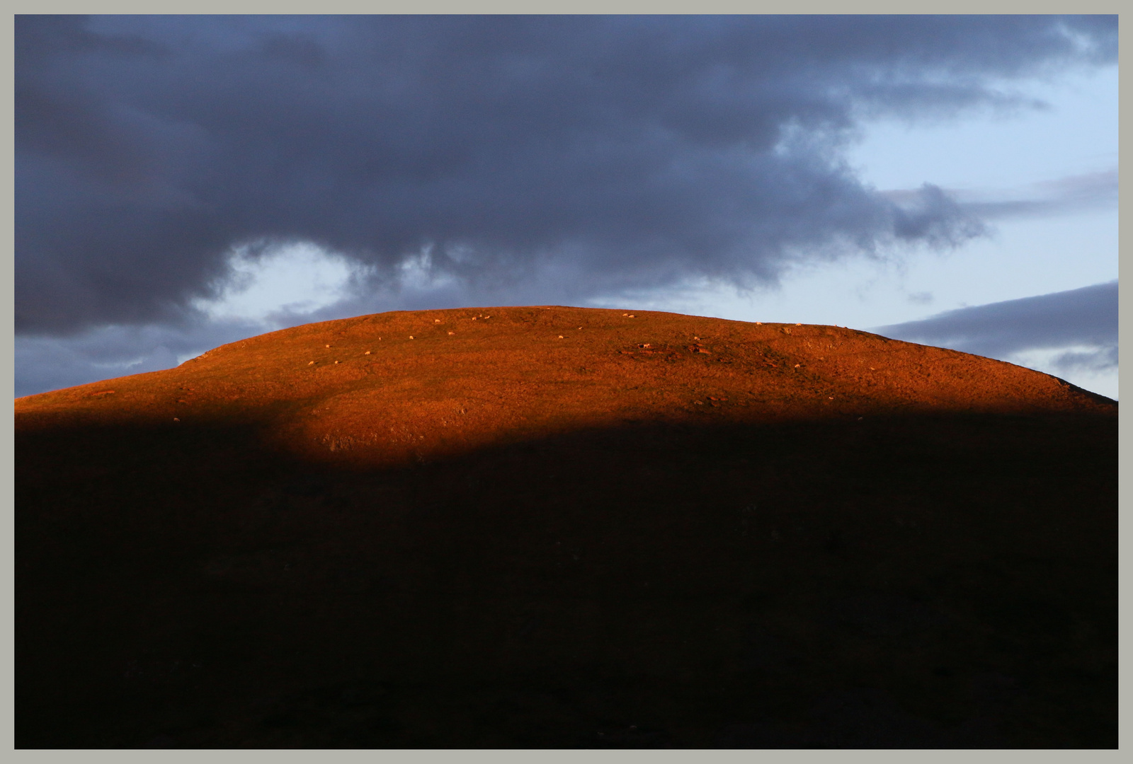 Percy Law evening Cheviot Hills