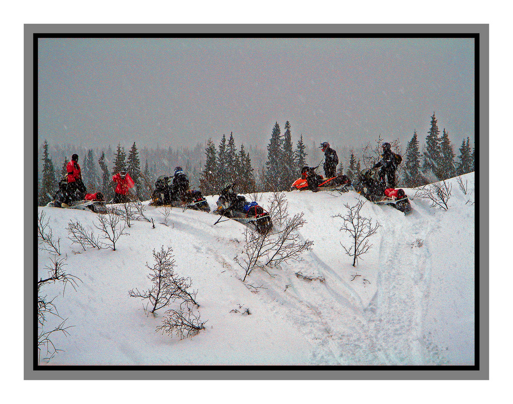 Perdidos en Alaska