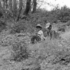 Perdidos en la excursión