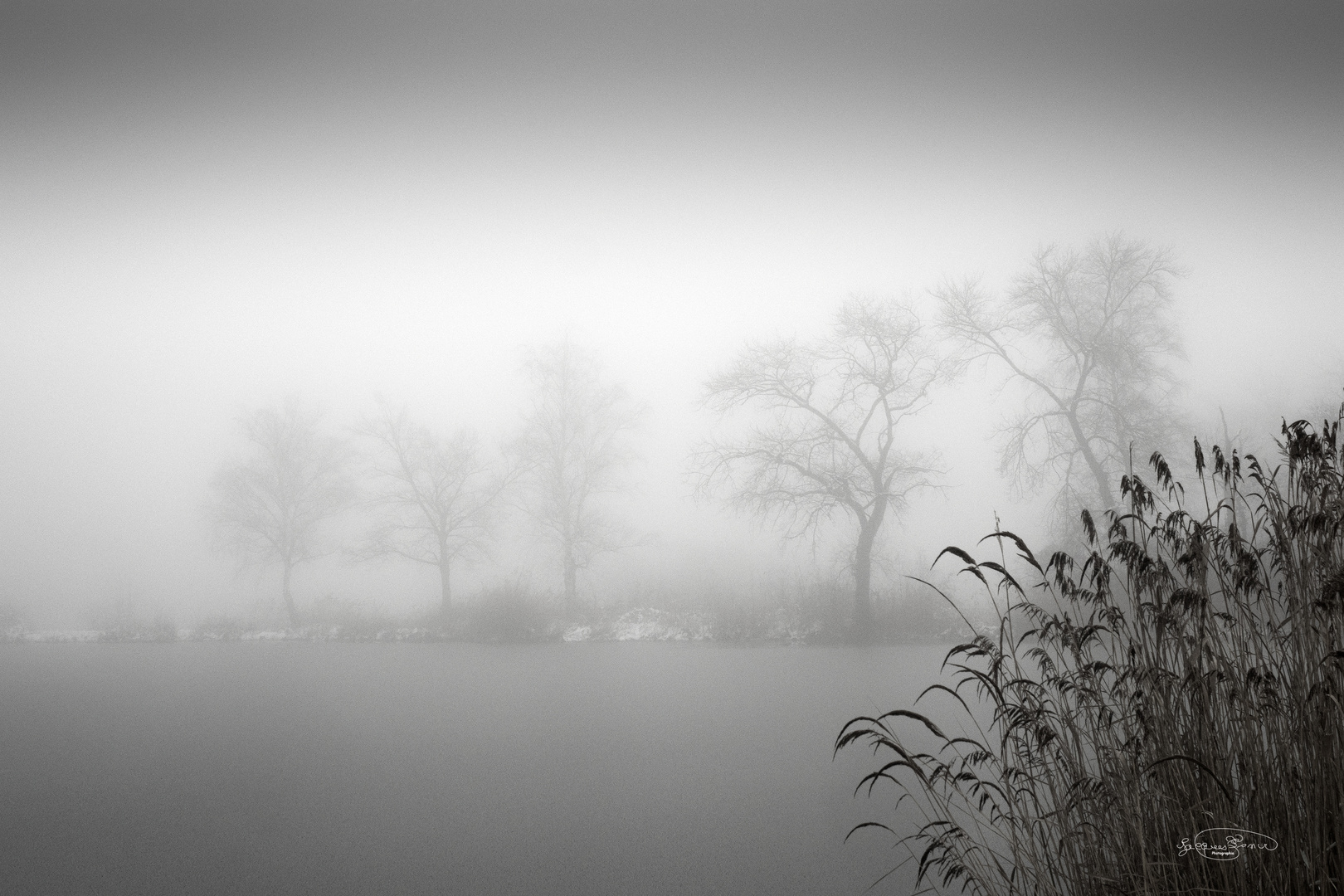 Perdu dans la brume