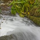 perdu dans la forêt !!