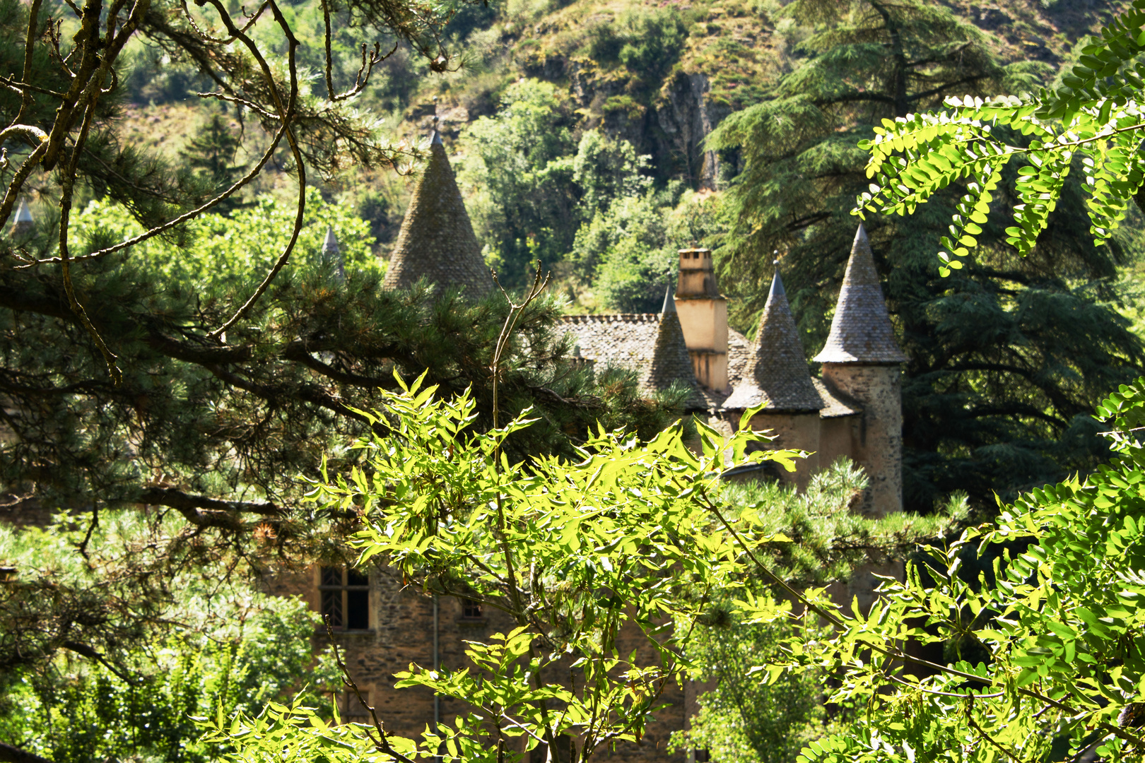 Perdu dans la nature, le Château du Champ-Altier - 2