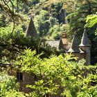 Perdu dans la nature, le Château du Champ-Altier - 2