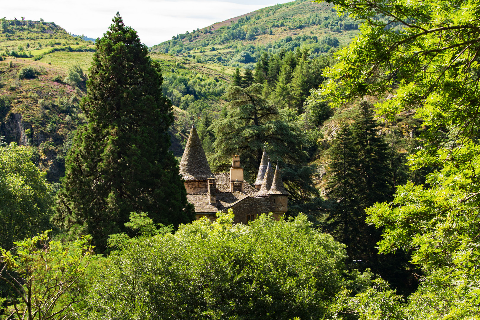 Perdu dans la nature, le Château du Champ-Altier - 3