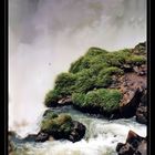 perdu dans les brumes aquatiques d'IGUAZU