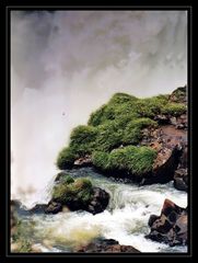 perdu dans les brumes aquatiques d'IGUAZU