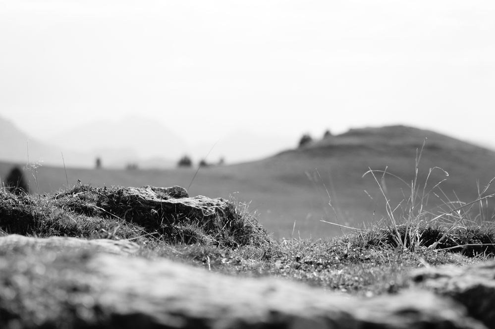 perdue dans la montagne