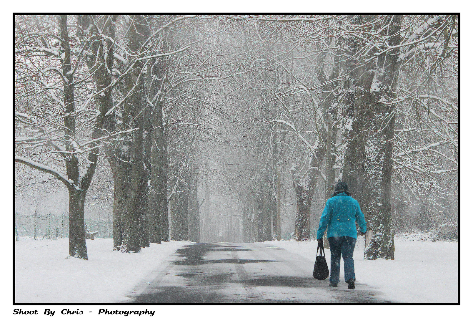 Perdue dans le froid