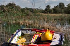 Perdue dans les herbes