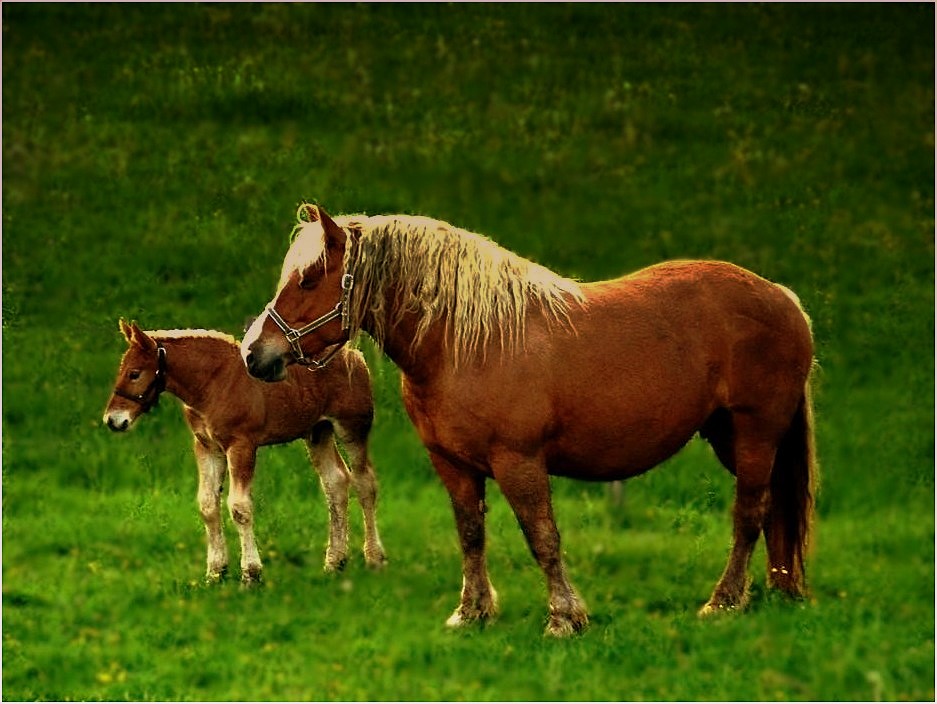 Père et Fils