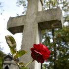 Pere Lachaise