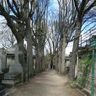 Pére lachaise