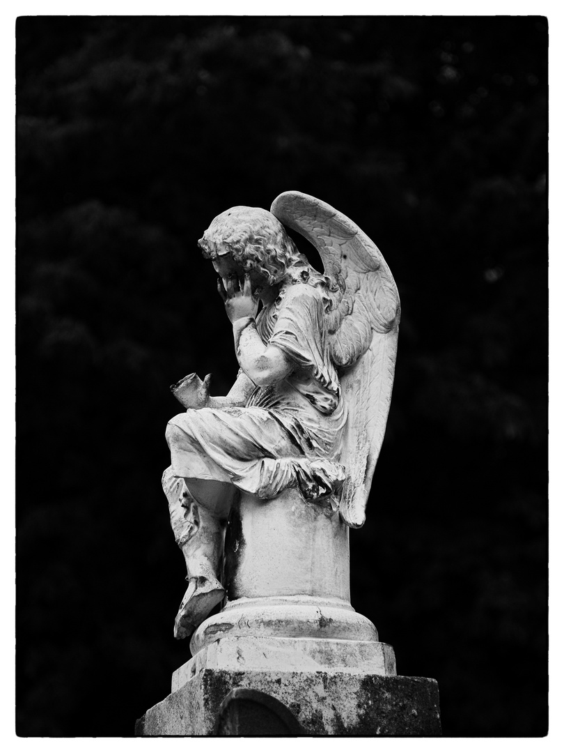 Pere Lachaise #5