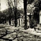 Pere Lachaise