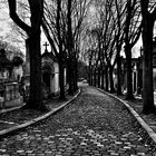 Pere Lachaise Paris I