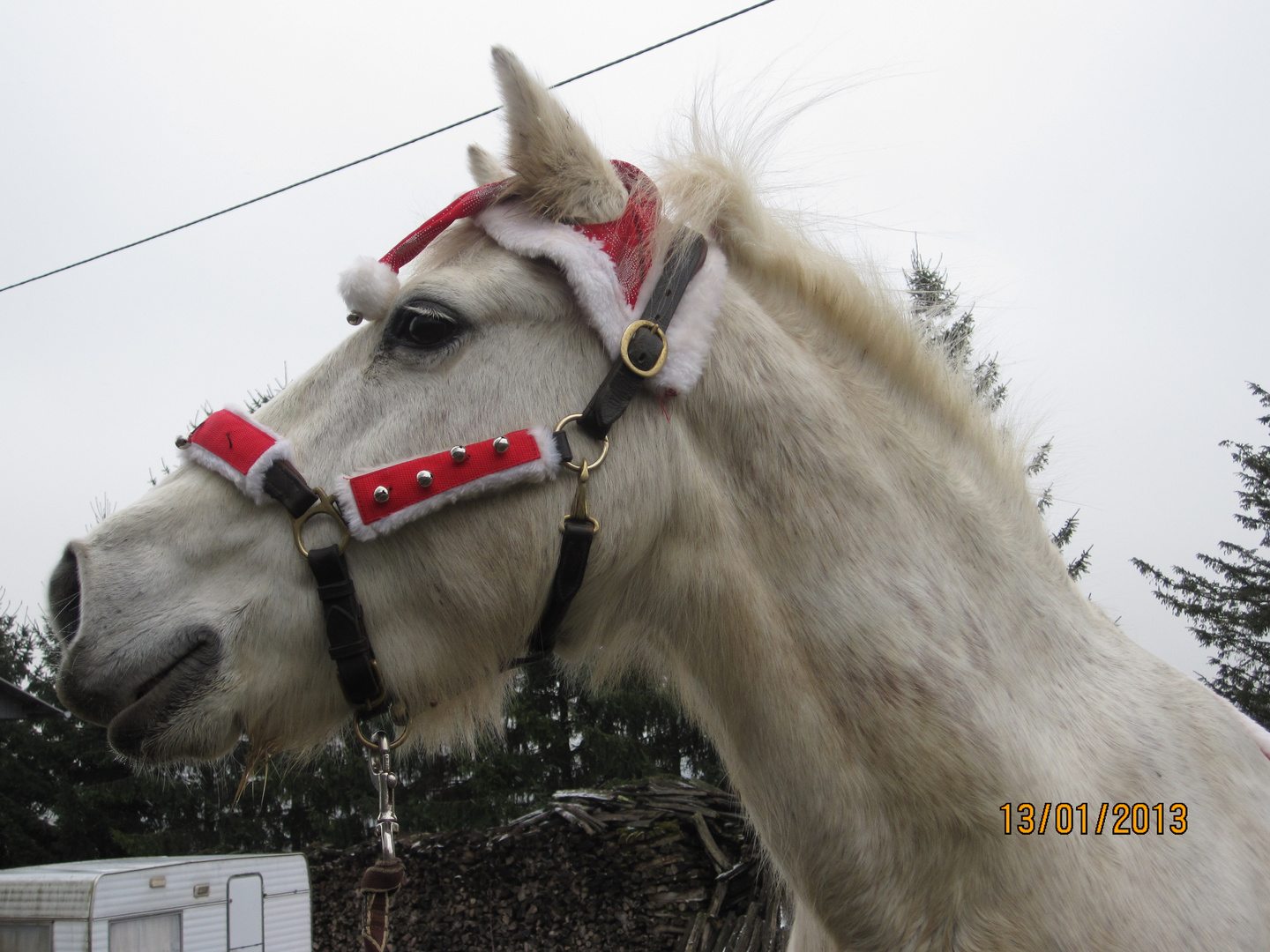 père Noël où est t'huuu!!