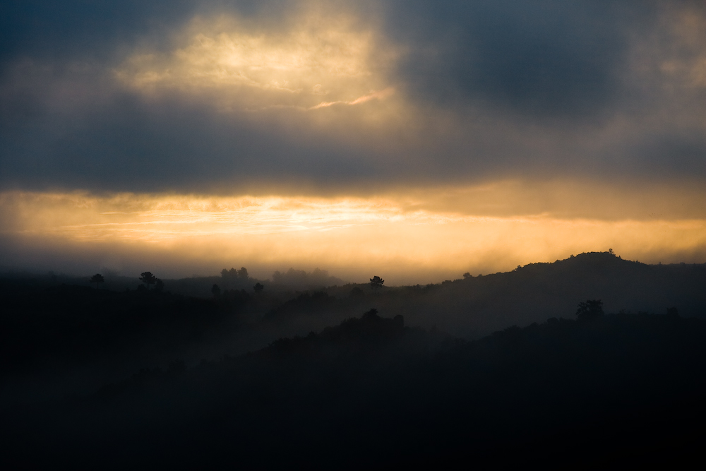 Perçée dans la Brume