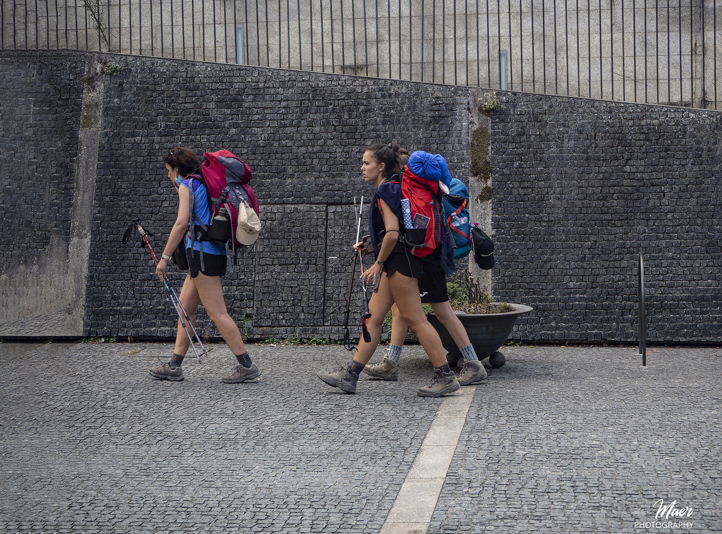 Peregrinas en Compostela.