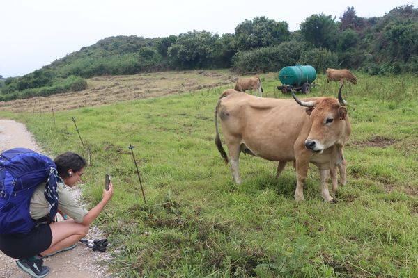 Peregrinos por el Camino
