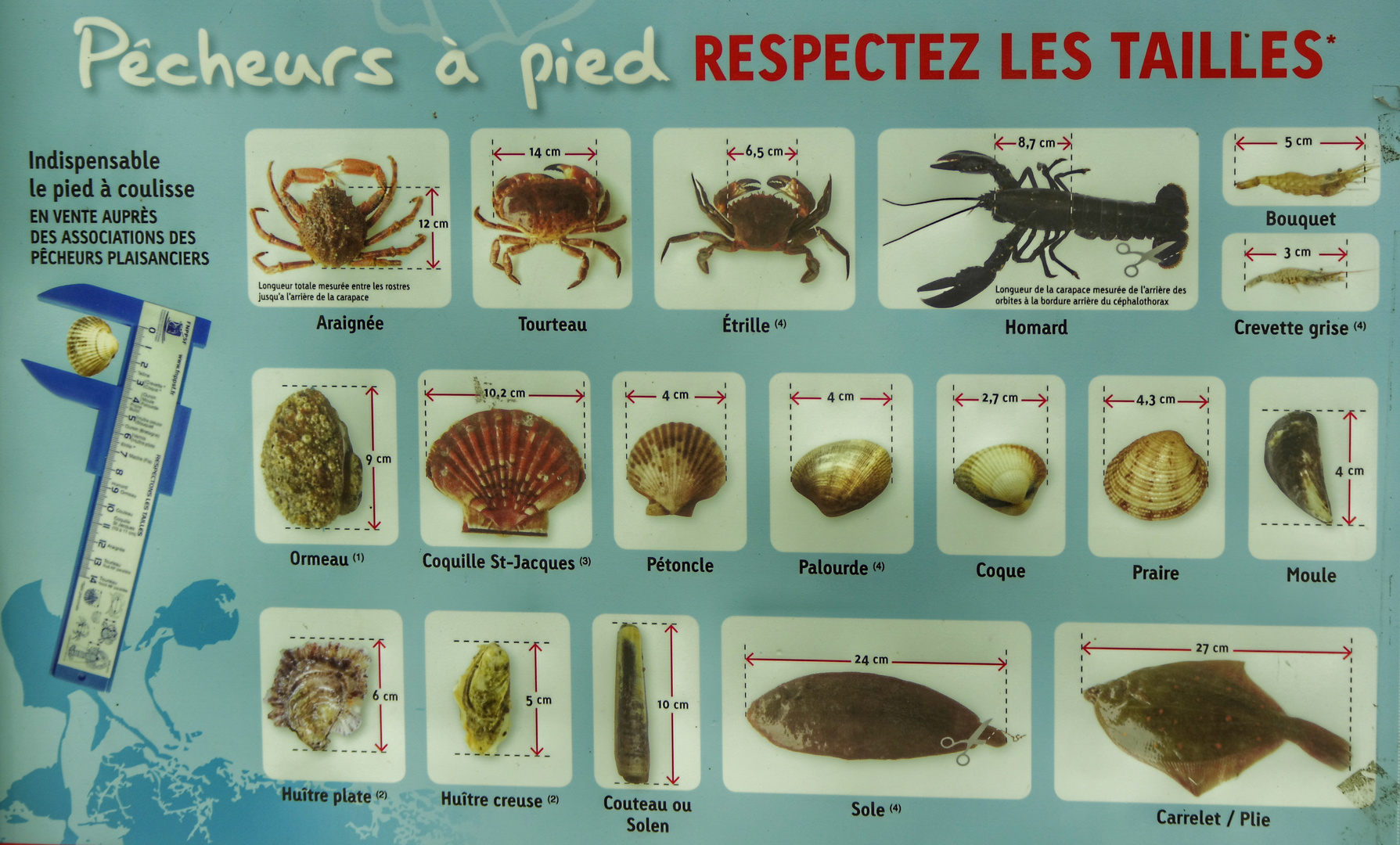 pérennité Foto & Bild europe, france, bretagne Bilder auf