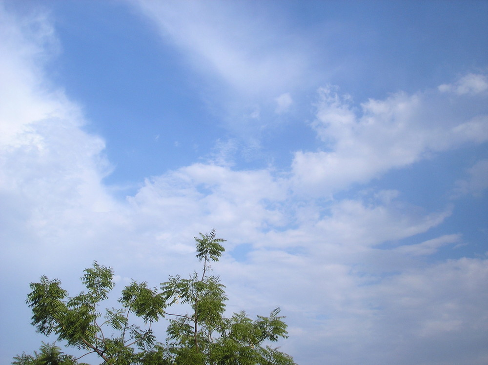 perfect colour combination of blue n green.