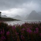 Perfect Light at the Fjord