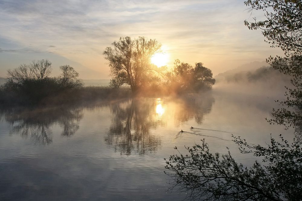 perfect moment II von Niels Hoffmann 