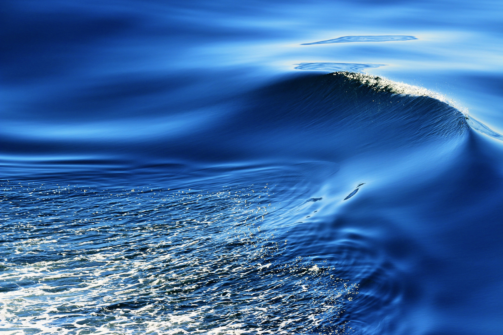 Perfect Wave