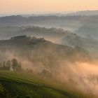 Perfekte Bedingungen für einen guten Barolo