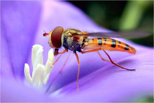 Perfekte Frisur Deluxe ;-)