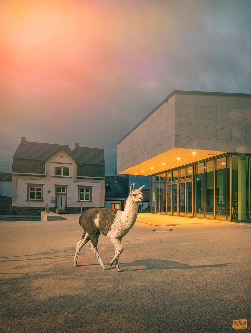 Perfekte Kulisse für ein Lama