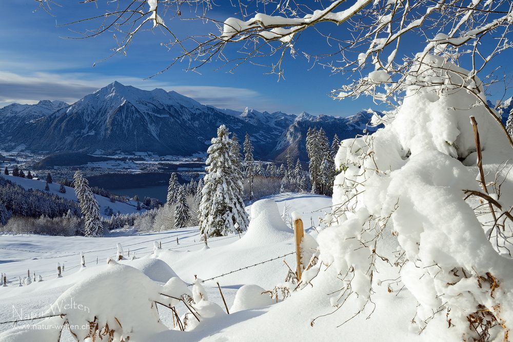 Perfekte Schneelandschaft