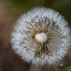 Perfekte Technik in der Natur