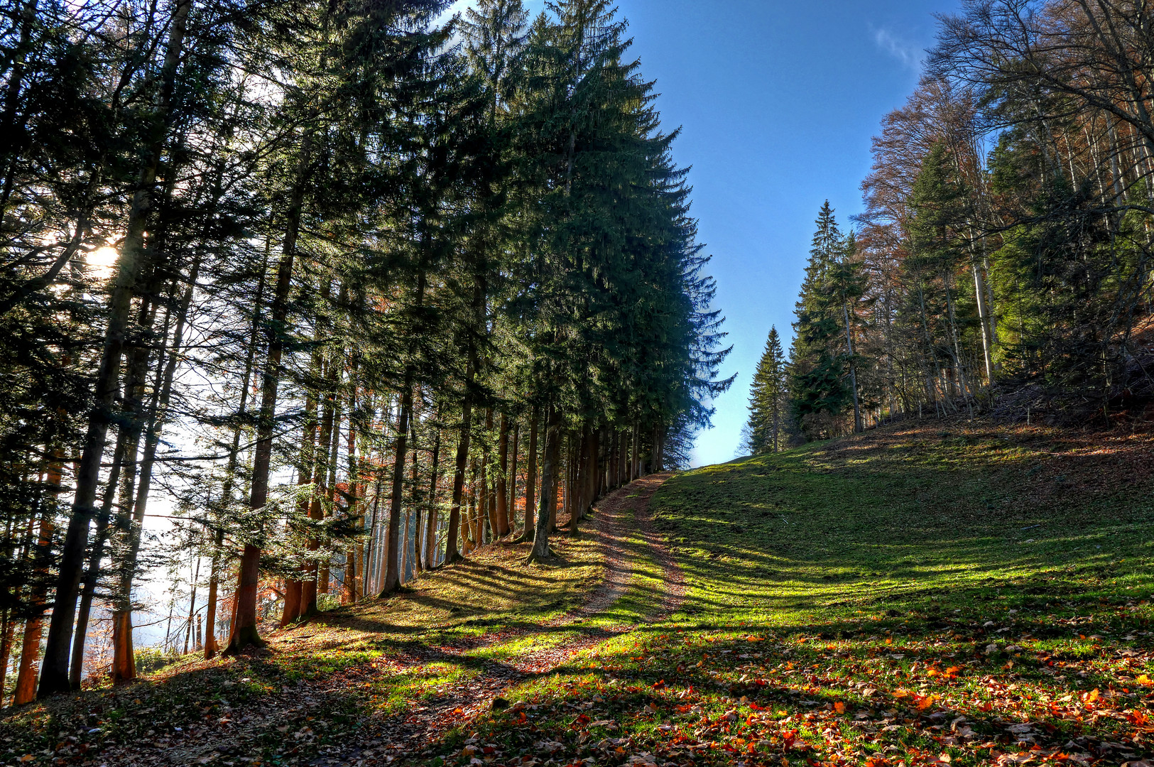 Perfekter Herbsttag