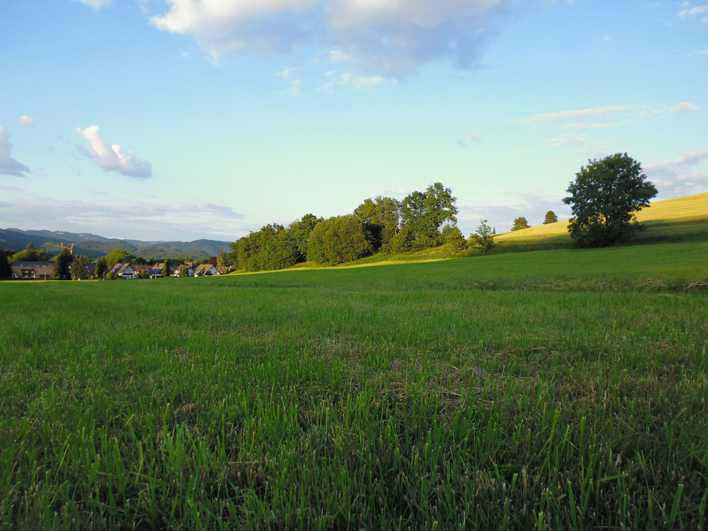 Perfekter Picknickplatz