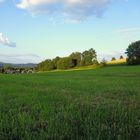 Perfekter Picknickplatz