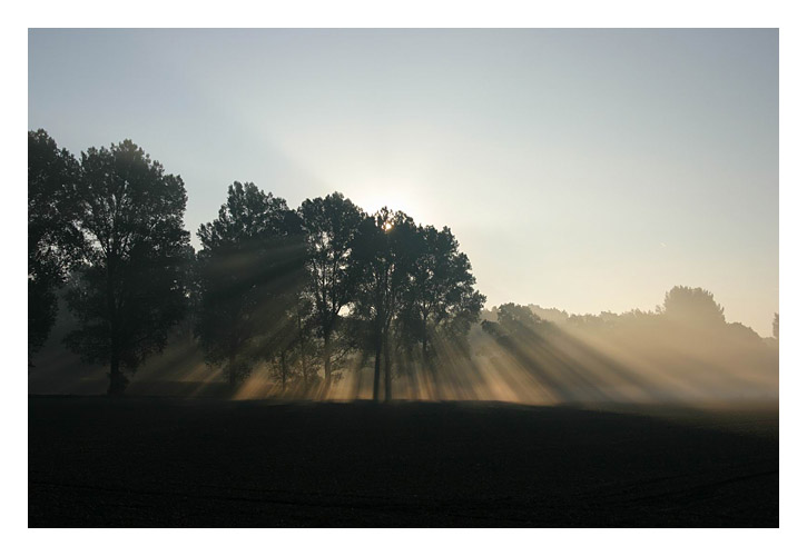 Perfektes Licht