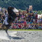 Perfektes Reiten bei Ritter Turnier