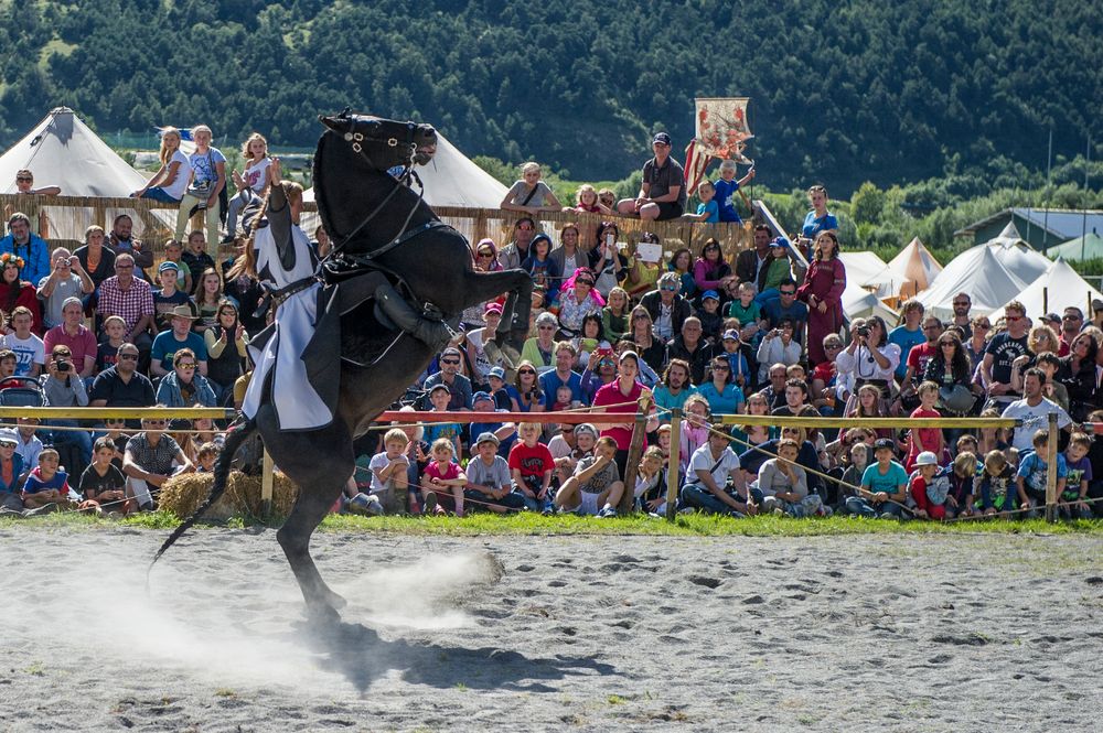 Perfektes Reiten bei Ritter Turnier