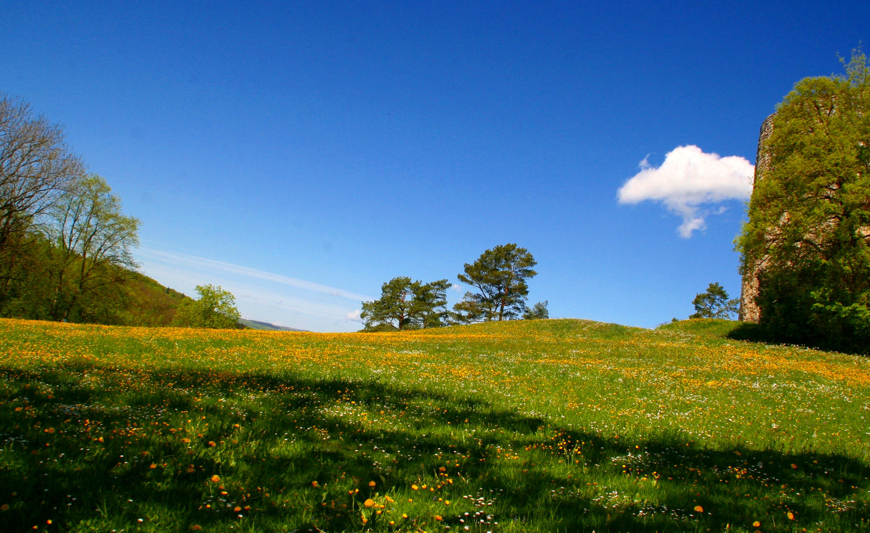 Perfektes Wetter