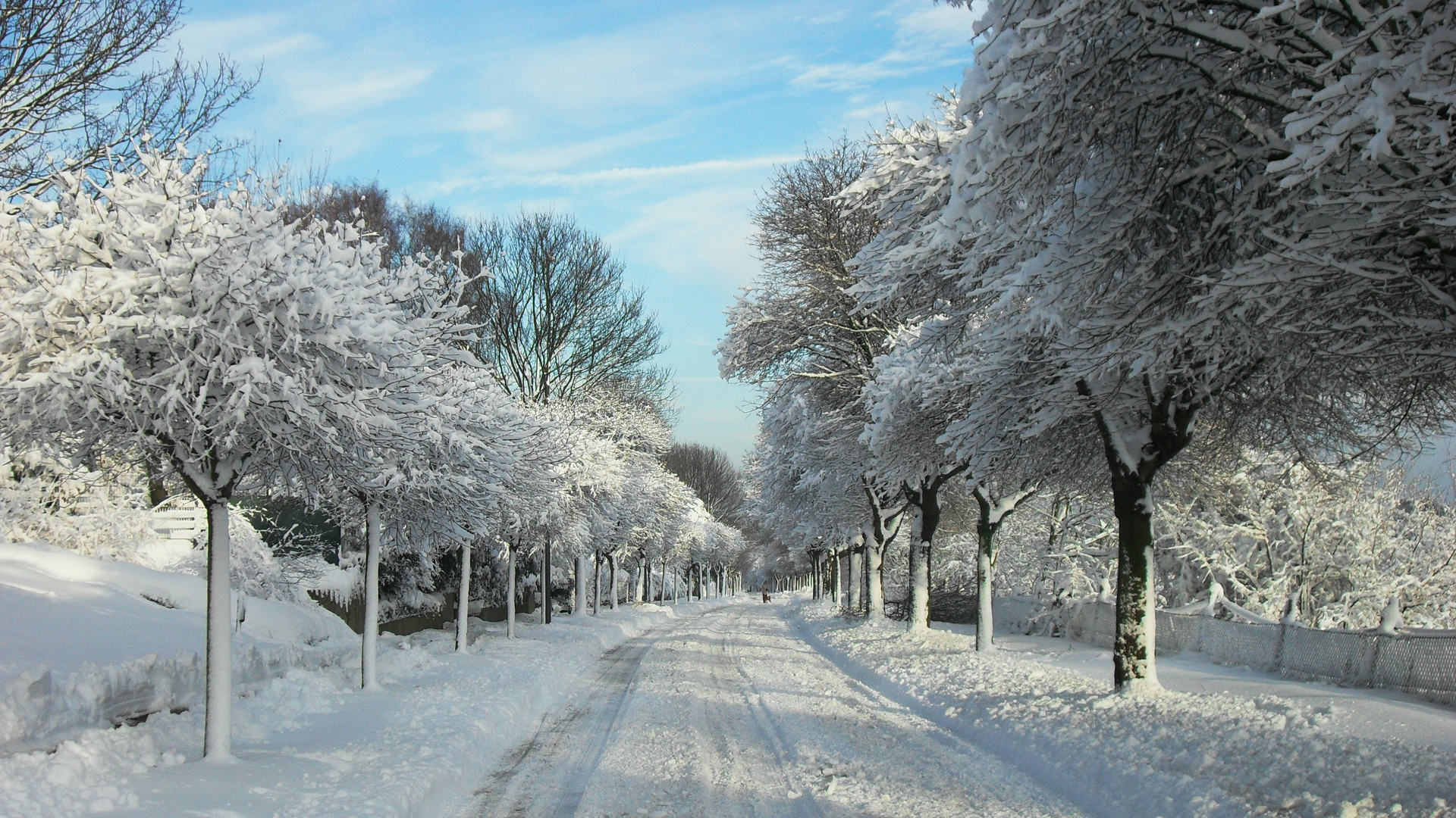 Perfektes Winterwetter