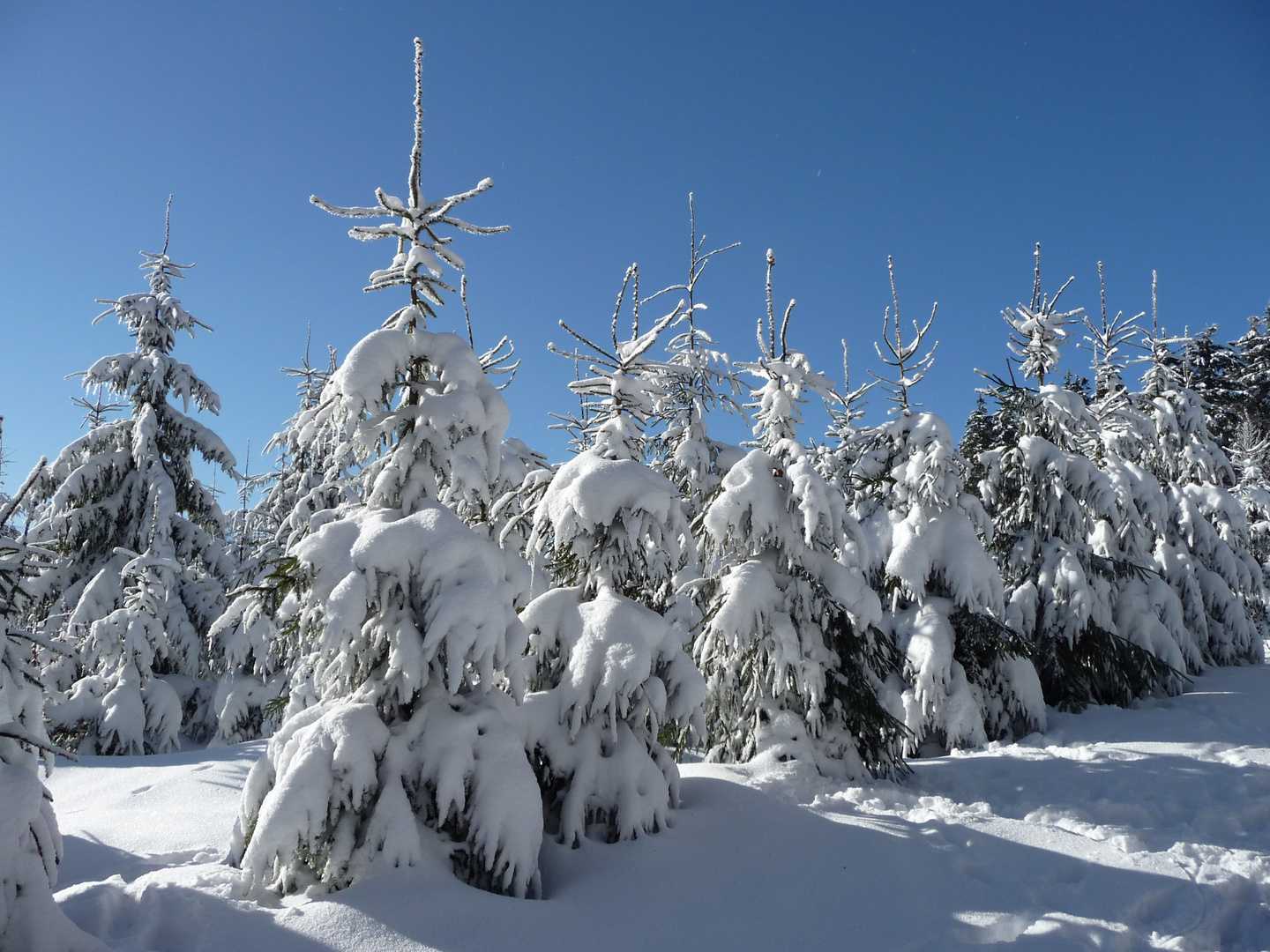 Perfektes Winterwetter