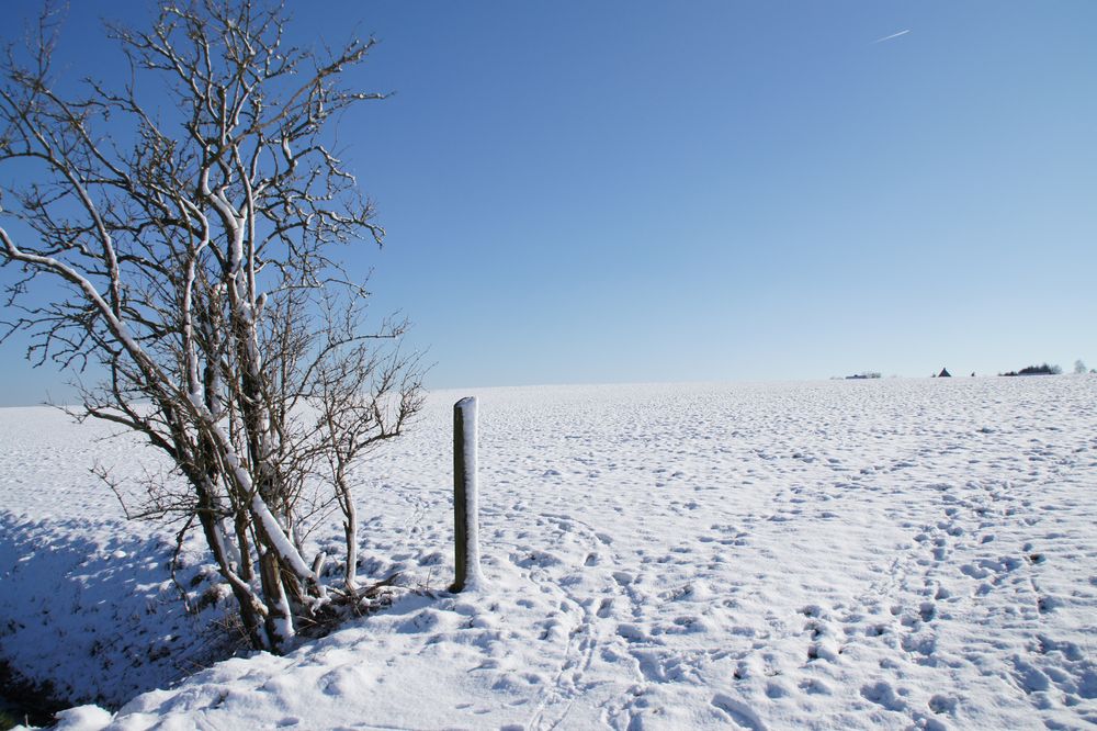 Perfektes Winterwetter