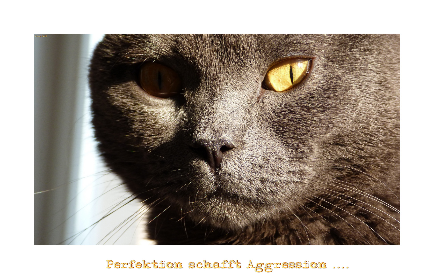 Perfektion schafft Aggression .....