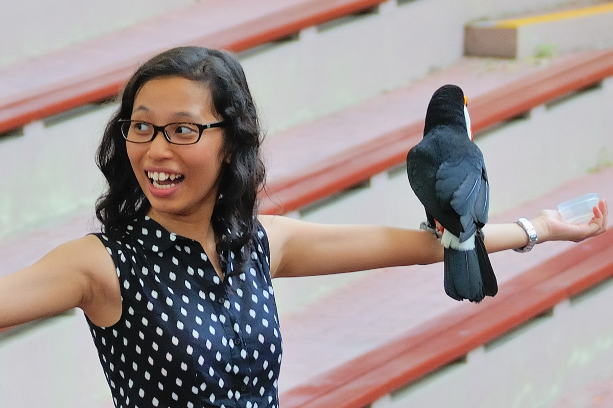 Performance in Jurong Bird Park