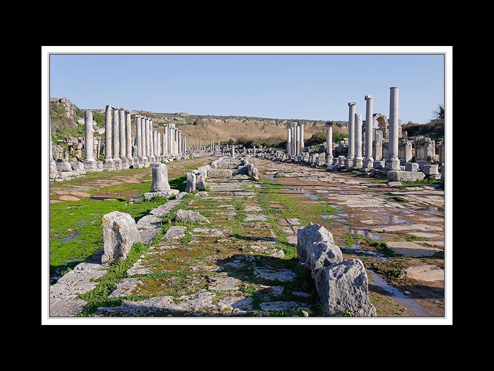 Perge 12